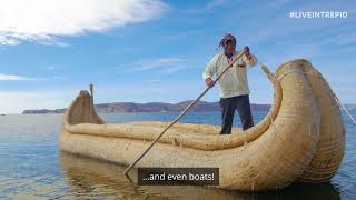 The Unique Floating Islands of Lake Titicaca [upl. by Anima]