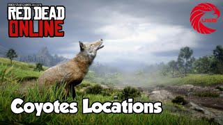 Coyotes rdr2 Online Locations  Red Dead Online Coyotes Location Guide [upl. by Arden143]