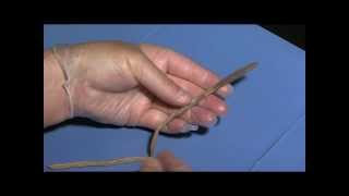 Earthworm Dissection Student Cut 1 for Lesson Plan [upl. by Maffei897]