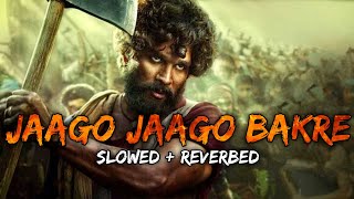 Jaago Jaago Bakre Slowed  Reverbed music song slowed reverb pushpa video jaagojaagobakre [upl. by Oirasor20]