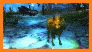 Guild Wars 2  Fern Hound Pet Locations [upl. by Flodur]