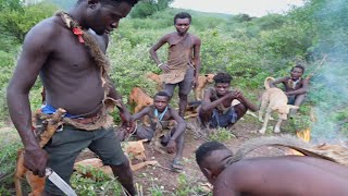 OMG SEE HOW HADZABE HUNT AND CATCH ALOT OF MONKEYS IN THE BUSH ORGINAL HADZABE TRIBE HUNTERS [upl. by Fine]