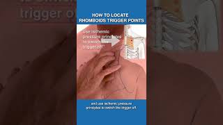 How To Locate Trigger Points In The Rhomboids [upl. by Engvall]