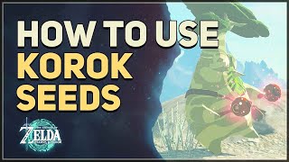 How to Use Korok Seeds Legend of Zelda Tears of the Kingdom [upl. by Cadman]