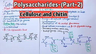 PolysaccharidesCellulose amp Chitin Jiyas Biology Tutorials [upl. by Worden]