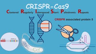 CRISPRCas9  Introduction and discovery [upl. by Pyotr]