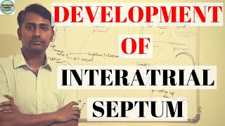 DEVELOPMENT OF INTERATRIAL SEPTUM [upl. by Couchman497]