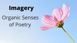 What Is Imagery in Literature🌹🌻 Types Of Imagery in Poetry 🎄🌲 Use and Examples of Imagery 🌴🍀 [upl. by Larrie151]