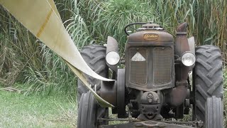 FESTA DELLA TREBBIATURA TORRICE 2018 [upl. by Cardinal943]