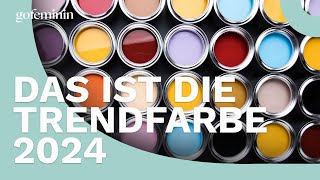 Laut Pantone Das ist die Trendfarbe 2024 [upl. by Atilol]