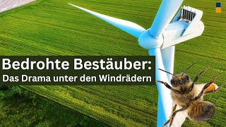 Sind Bienen und andere Insekten durch Windräder in Gefahr [upl. by Kissner48]