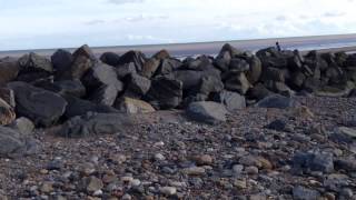 Hornsea Sea Defences [upl. by Sama367]