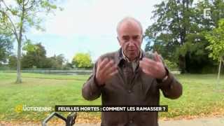 Que faire des feuilles mortes [upl. by Summons]