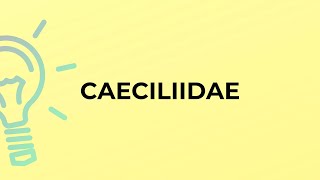 What is the meaning of the word CAECILIIDAE [upl. by Alarise700]