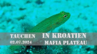 Mafia Plateau  Tauchen in Kroatien  Episode 2 [upl. by Netsrik802]