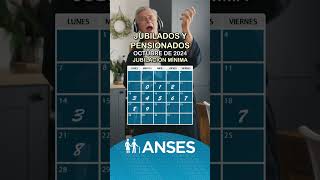 Cronograma de Anses con fechas de pago a jubilados y pensionados en octubre de 2024 [upl. by Savihc480]