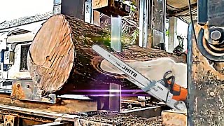 acacia wood sawing process [upl. by Susana]