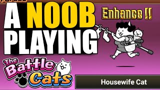 NOOB TO GOAT 205  MY NEW SUPER RARE IN TRUE FORM HOUSEWIFE CAT  The Battle Cats [upl. by Leraj457]