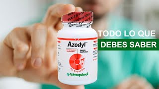 ¿Para qué sirve AZODYL Existen PRODUCTOS SIMILARES [upl. by Morrill]