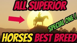 Red Dead Redemption 2 All Superior Horses  BEST BREED IN THE GAME [upl. by Eyahc]