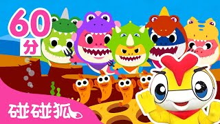 與鯊魚寶寶一家唱歌跳舞合集  連續播放  Baby Shark l Kids Song Nursery Rhymes  碰碰狐 Pinkfong [upl. by Asseniv591]