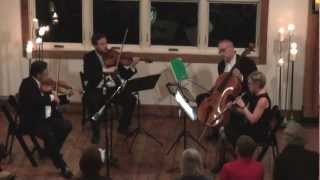 Druschetzky Oboenquartett in g Allegro [upl. by Lem899]