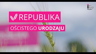 🌱 Pszenica ozima oścista REPUBLIKA [upl. by Auqinahs]