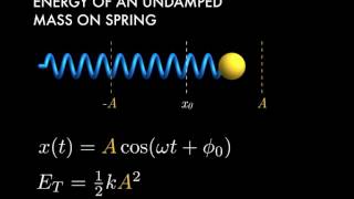 Introduction to Exponential Decay Damped Oscillations [upl. by Thirza]