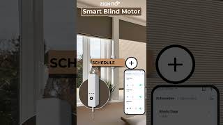 Control Your Blinds with Ease Smart WiFi Blind Motor [upl. by Olney]