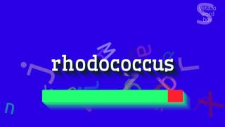 How to say quotrhodococcusquot High Quality Voices [upl. by Ulphia]