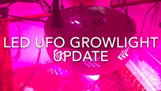 LED Refugium Grow Light Update [upl. by Zavras964]