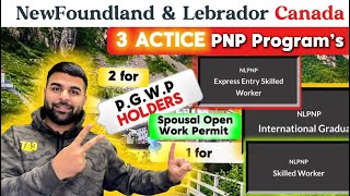 newfoundlandandlabrador Oct2024  3 Easy PNP Programs in ਪੰਜਾਬੀ ਵਿੱਚ canada permanentresidency [upl. by Christianson]