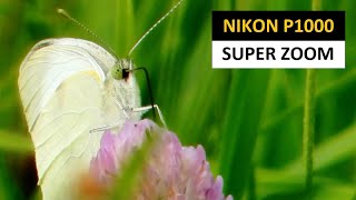 Nikon P1000 zoom test  BUTTERFLY Macro from 9 meters World Record Zoom [upl. by Eiramesor281]