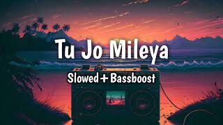 Tu Jo Mileya ll SlowedBassboost new song 2024 [upl. by Irreg171]