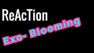 Ellis Reacts 85  Reaction EXOCBX 첸백시 花요일 Blooming Day MV [upl. by Malita492]