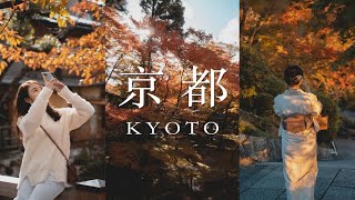 日本京都VLOG｜最美枫叶圣地｜和服体验｜深度美食之旅｜清水寺永观堂二年坂岚山【Daci】 [upl. by Edric]