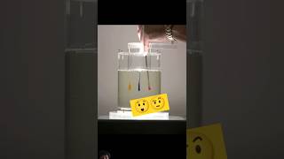 Laminar flow  experiment scienceexperiment chemistry VigyanRecharge interestingfacts [upl. by Sema489]