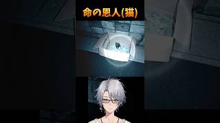 ぬこ 個人vtuber 迷央十丁目 shorts [upl. by Donny]