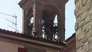 Le campane di Bergamo  Cattedrale di S Alessandro 1 video 814 [upl. by Zenas]