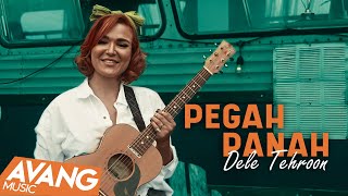 Pegah Panah  Dele Tehroon OFFICIAL VIDEO  پگاه پناه  دل طهرون [upl. by Wilkens387]