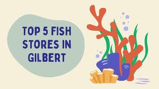 Top 5 Best Fish Stores [upl. by Kovacev]