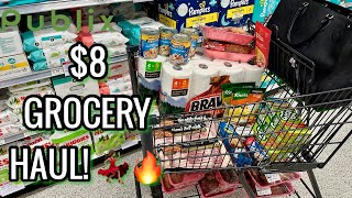 Publix Free amp Cheap Couponing Deals amp Grocery Haul This Week Brawny Paper Towels 🔥 1219 OR 110 [upl. by Dnalram]