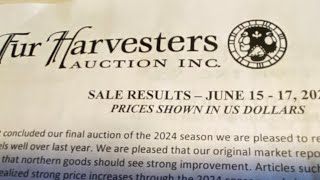 Fur Harvesters June 2024 Fur auction results [upl. by Kassie446]