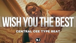 FREE Central Cee Type Beat  quotWish You The Bestquot  Sample Melodic Drill Type Beat 2024 [upl. by Rianon]