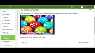 AULA VIRTUAL MOODLE CON METODOLOGIA PACIE [upl. by Eudosia]