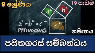 9 ශ්‍රේණිය  පයිතගරස් සම්බන්ධය maths grade 9  lesson 19Pythagoras Relationmaths with Piyumi [upl. by Fabiano]