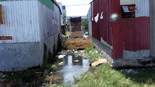 Good Skill Dozer to remove Narrow floodplain​ Dozer amp 5T Truck Good operational skills [upl. by Terrell]