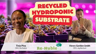 Grow Microgreens Sustainably Hydroponic Substrate Recycling Tips  ReNuble [upl. by Readus]