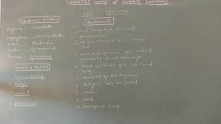 M Sc Zoology Pyrosoma Life cycle [upl. by Solita]