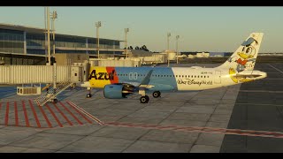 PORTO ALEGRE X CAMPINAS  A320neo saopaulo beautiful pmdg msfs2024 msfs2020 xp12 xp11 toliss [upl. by Andre]